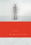 Cover of My Beautiful Idol by Pete Gall