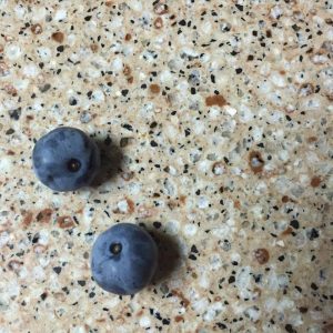 Mark Schaefer's blueberry harvest. This is when the blueberry shock began!